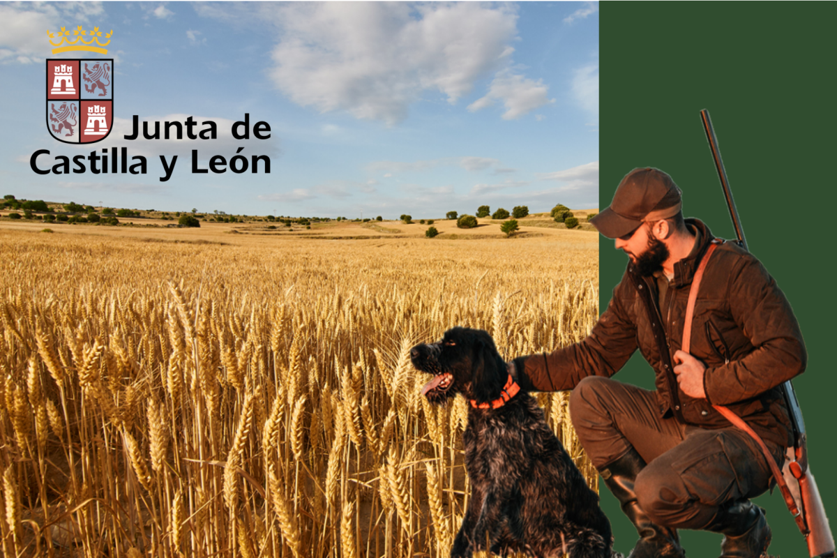 licencias de caza bonificadas en Castilla y Leon