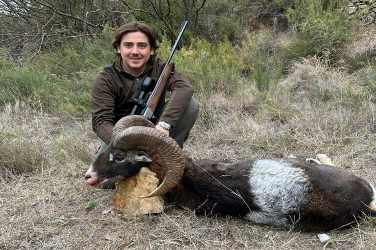 Rececho de muflon en Muela de Cortes.