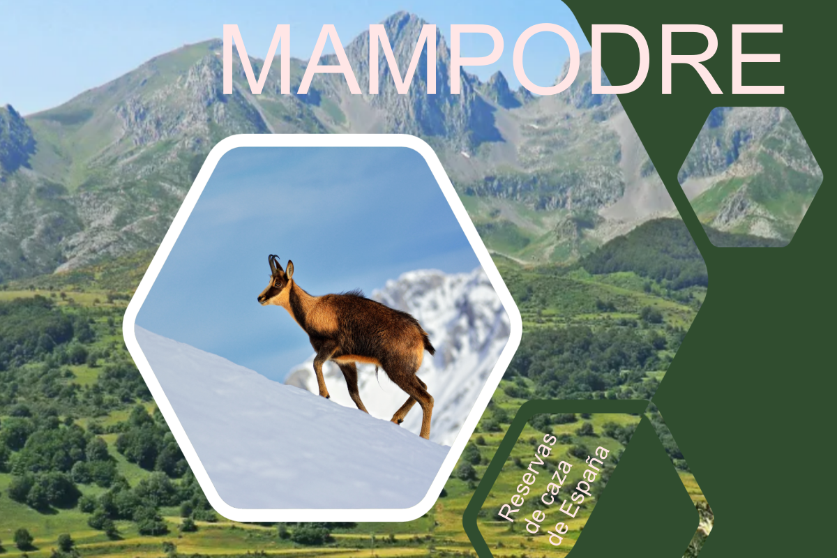 reserva de caza de Mampodre