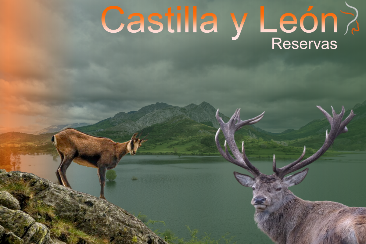 Reservas de caza de Castilla y Leon