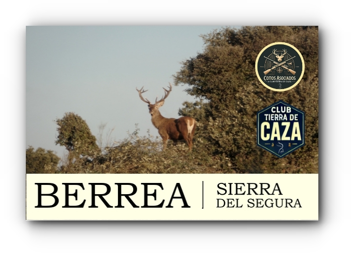 BERREA SIERRA DEL SEGURA 2