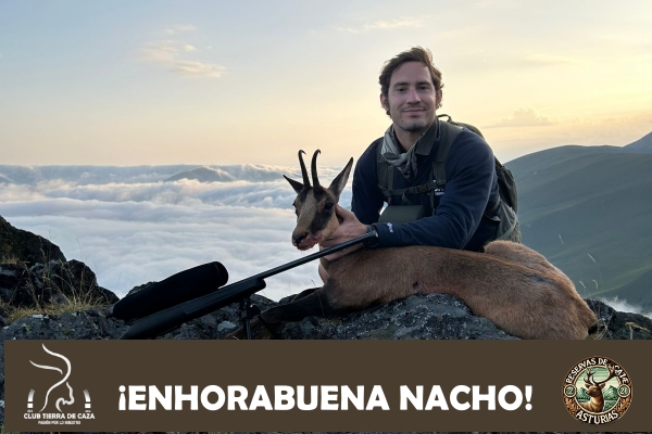 Una Rebeca en la Cumbre Sobre las Nubes de la Cordillera