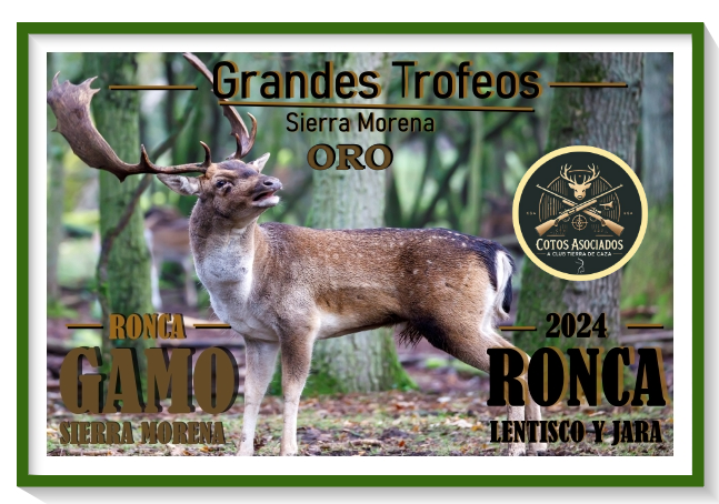 Gamo Grandes Trofeos (Medalla de Oro) en la Ronca 2024 – Sierra de Andújar