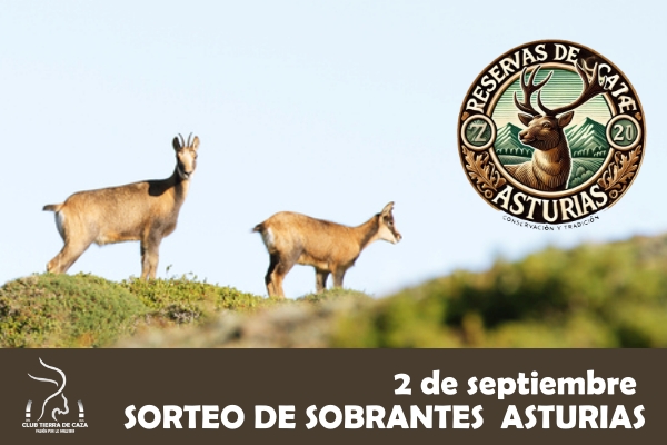 Nuevo Sorteo de Sobrantes en Asturias