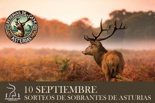 ¡Vamos a por otro! Nuevo Sorteo de Sobrantes de Asturias