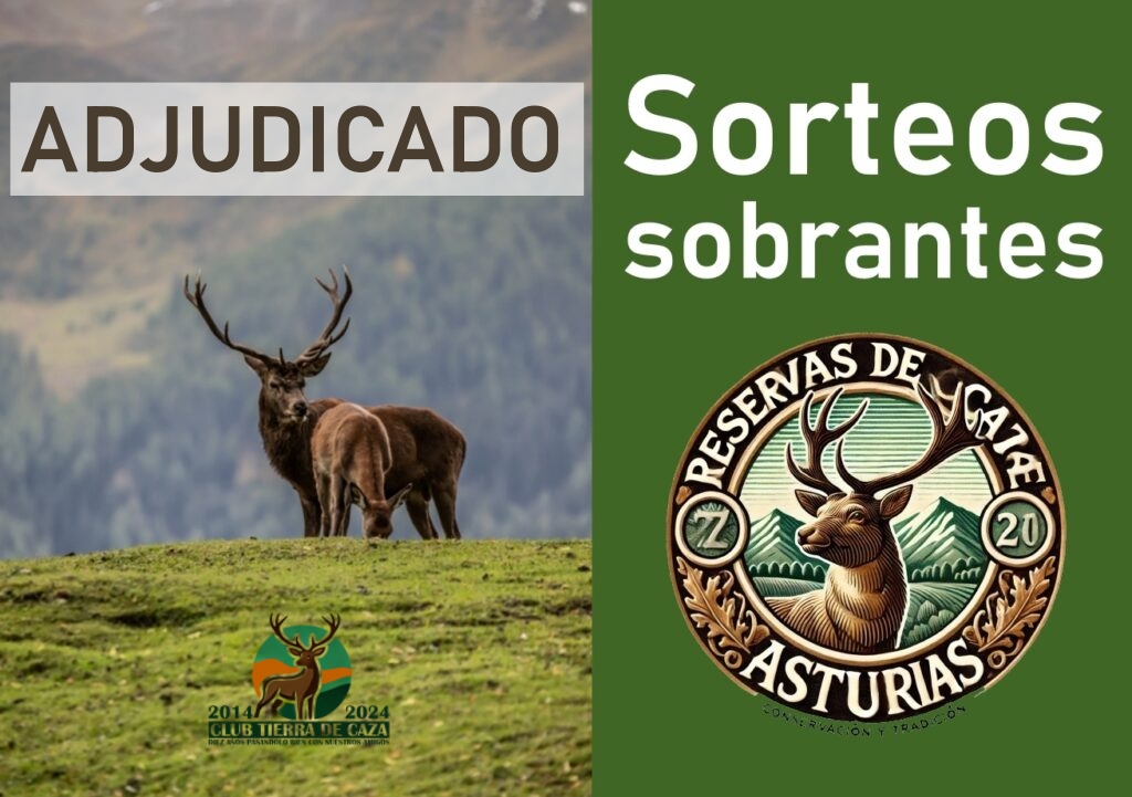 SORTEOS SOBRANTES ASTURIAS CAZA