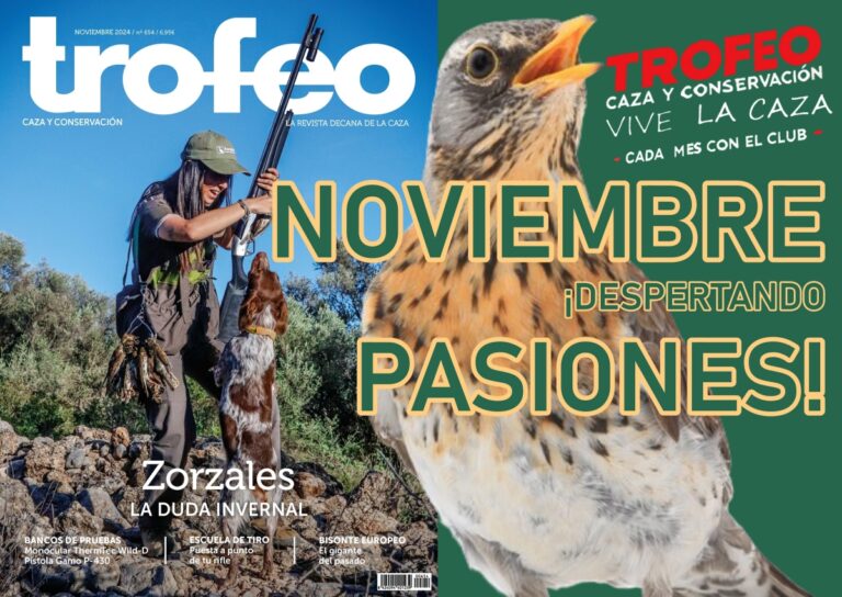 trofeo en noviembre