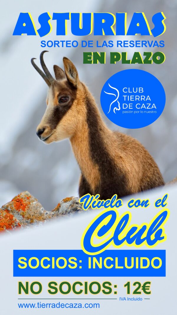 sorteo reservas asturias 2025 club tierra de caza