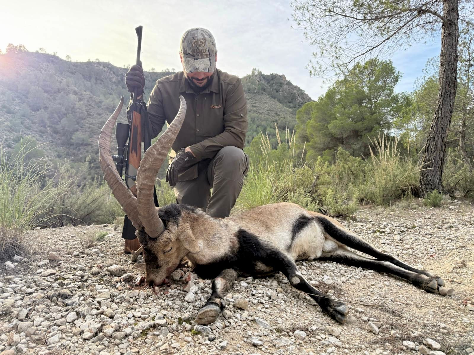 macho montes Segura