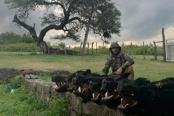 chanchos argentina