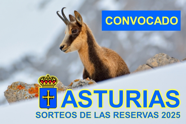 sorteo reservas asturias club tierra de caza