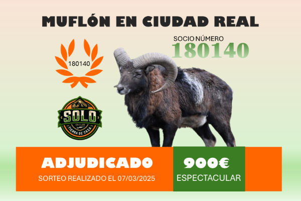 SORTEO MUFLON RESULTADO